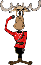 Canadian Flag